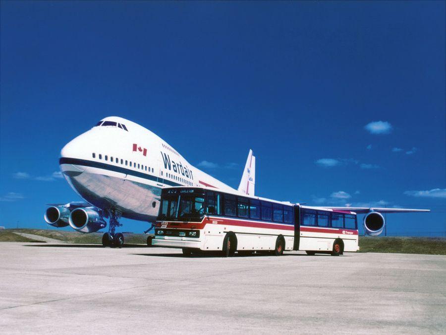  Ikarus 286 1980 года  (фото 20 из 21)